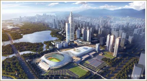 华润置地 大连每一步，映照城市发展的进阶之路